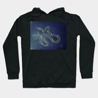 Snake in the sewer Hoodie